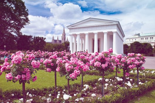 Viena Відень розарій в парку Volksgarten