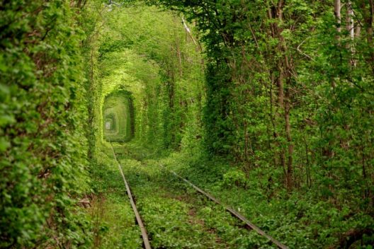 Здійснення бажань Клевань тунель кохання
