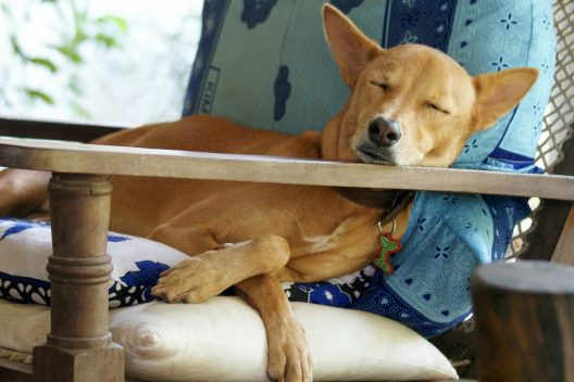 Spanish siesta Іспанська сієста