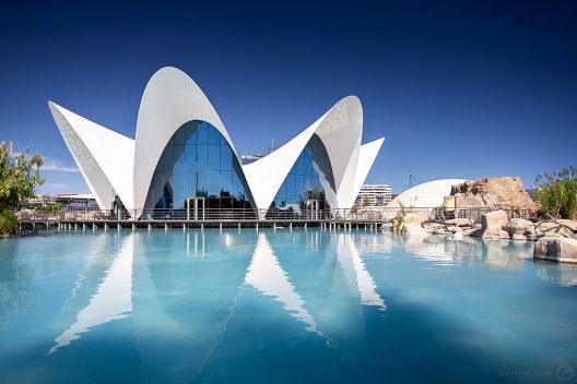 Valencia L'Oceanogràfic Валенсія музей океанографії1