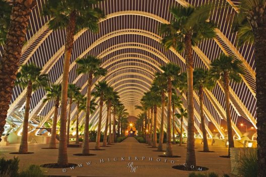 Valencia L'Umbracle Валенсія оранжерея