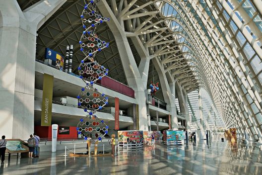 Valencia Museo de las Ciencias Principe Felipe Валенсія музей накуи