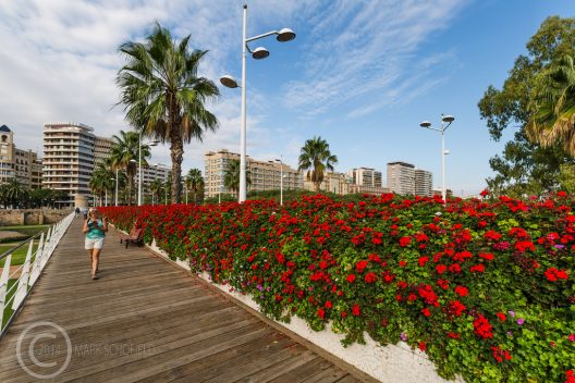 Valencia Валенсія сади Турії 1